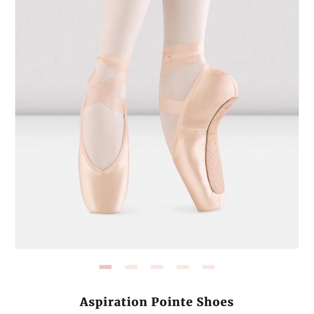 Bloch ballet pointe shoes